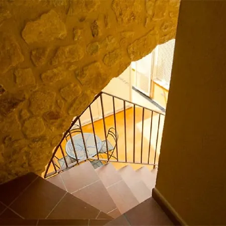 Petit Apartment Pals